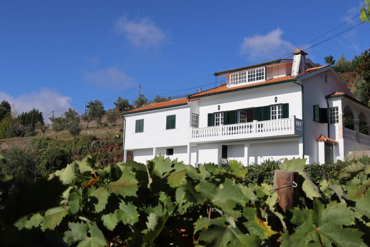 Villa Samaritana - Casa Da Vinha Vila Marim Zewnętrze zdjęcie